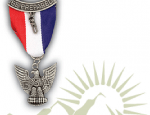 Eagle Service Project Fundraising Guidelines – Mayflower Council | BSA