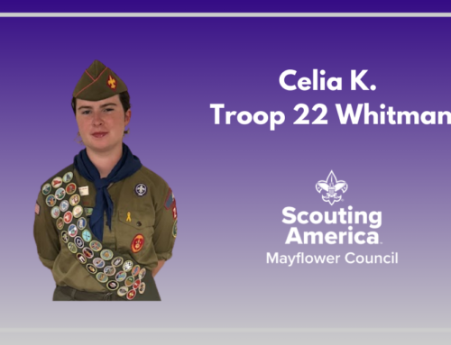 From Virtual Meetings to the “Eagle’s Nest”