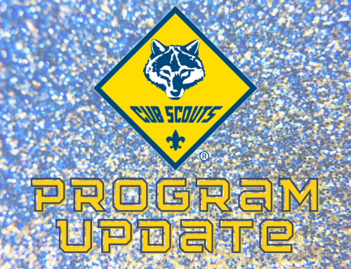 Update on the 19 Cub Scout Elective Adventures