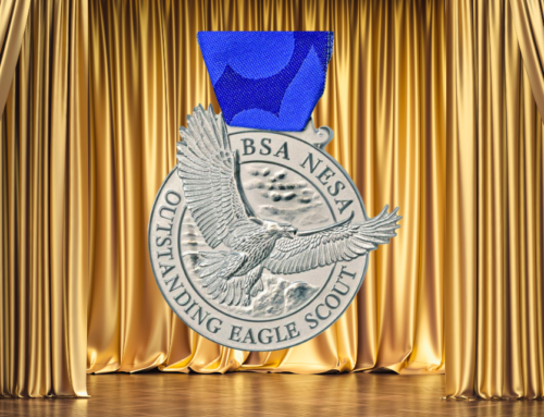 Outstanding Eagle Scout Award